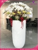 chau-hoa-lan-ho-diep-trang-vang-40-canh-tv24