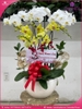 chau-hoa-lan-ho-diep-trang-vang-7-canh-tv36