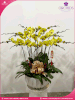 chau-hoa-lan-ho-diep-vang-13-canh-v233