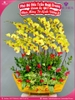 Chau-hoa-lan-ho-diep-vang-15-canh-v345
