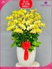 Chau-hoa-lan-ho-diep-vang-15-canh-v412