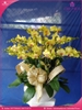 chau-hoa-lan-ho-diep-vang-15-canh-v76