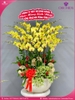 Chau-hoa-lan-ho-diep-vang-20-canh-v347