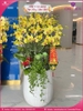 Chau-hoa-lan-ho-điep-vang-21-canh-v543