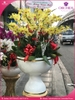 chau-hoa-lan-ho-diep-vang-30-canh-v94