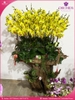 Chau-hoa-lan-ho-diep-vang-48-canh-v430