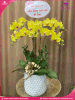 chau-hoa-lan-ho-diep-vang-5-canh-v223