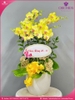 Chau-hoa-lan-ho-diep-vang-5-canh-v375