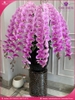 Chau-hoa-lan-ho-diep-vip-nu-hoang-6-canh-vnh07