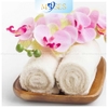 Khăn Spa chuyên dụng - Khăn COTTON các màu theo yêu cầu
