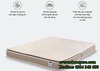 Đệm foam Artemis Gentle Dream