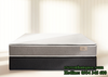 Đệm lò xo CLOUD PLUS