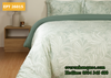 Bộ chăn ga gối Everon EPT 26015
