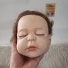 Đầu Búp bê Tái Sinh Thân Nhựa 50 cm/20 inch Head Reborn Doll (Thanh lý tồn kho)