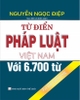 Sách Từ Điển Pháp Luật Việt Nam Với 6.700 Từ (Tái bản có bổ sung)