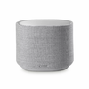 Harman Kardon Citation Sub Gray