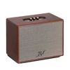 Loa Alpha Works Classic V100 Brown