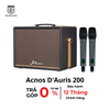 Loa Karaoke Acnos D'Auris 200