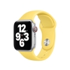 Apple Watch Ginger Sport Band