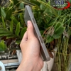 Combo 2 Ốp Lưng Trong Nhám Unibody iPhone 16 Siêu Mỏng