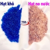 Hạt Hút Ẩm, Chống Ẩm Cho Máy Ảnh, Đồ Điện Tử Cao Cấp