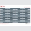 GẠCH ỐP TƯỜNG TATA 20x50: TATA2550-02-C1