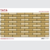 GẠCH ỐP TƯỜNG TATA 20x50: TATA2550-03-C1