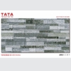 GẠCH ỐP TƯỜNG TATA 20x50: TATA2550-01-C1