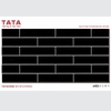 GẠCH ỐP TƯỜNG TATA 20x50: TATA2550-31-C1