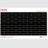 GẠCH ỐP TƯỜNG TATA 20x50: TATA2550-31-C1