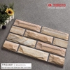 GẠCH ỐP TRANG TRÍ 30x45: TRG3401