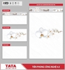 GẠCH ỐP TƯỜNG TATA 300x600: TATA3641-42D-43V