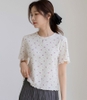 Áo thun nữ Hàn Quốc 050456