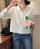 Sơ mi nữ Hàn Quốc 101426