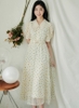 Váy cao cấp Hàn Quốc 041075