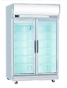 Tủ trưng bày đông Display FREEZER 2D/DF-G-EV