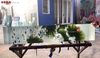 Tranh kính điêu khắc hoa sen Coba Artglass