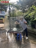 Vách kính thông phòng điêu khắc mộc hoa văn hồ sen Coba Artglass