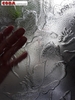 Vách kính thông phòng điêu khắc mộc hoa văn hồ sen Coba Artglass