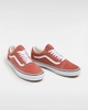VANS Việt Nam | Giày VANS OLD SKOOL COLOR THEORY AUTHURN VN000CT8C9J
