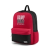 VANS Việt Nam | Balo VANS AP REACH IN BACKPACK RED VN0A3ZPGIZQ