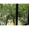 cho thuê căn hộ Serviced apartment số 154 đường nguyễn đình chiểu giá 850$/tháng