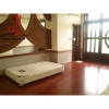 Cho thuê Biệt Thự ĐẸP tại Quận 2 khu Thảo Điền - giá 5000$