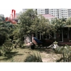 cho thuê biệt thự khu combound có sân vườn phường thảo điền quận 2, giá cho thuê:1600$/tháng