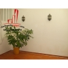 Cho thuê Villa quận 2, đường Trần Não giá 1600$