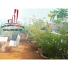Cho thuê Villa quận 2, đường Trần Não giá 1600$