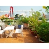 Cho thuê Villa quận 2, đường Trần Não giá 1600$