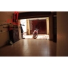 cho thuê villa phố quận bình thạnh, đường nguyễn hữu cảnh giá cho thuê:1500$/tháng