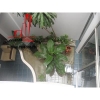 Cho thuê Villa Quận Phú Nhuận, đường Trần Cao Vân. Giá : 1.600 usd/ tháng.