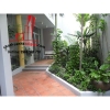 Cho thuê Villa Quận Phú Nhuận, đường Trần Cao Vân. Giá : 1.600 usd/ tháng.